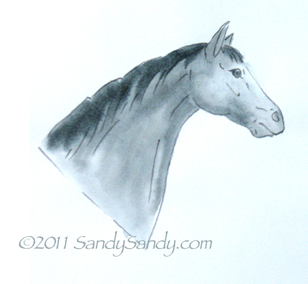 600x553 To Sketch A Horse Step By Step