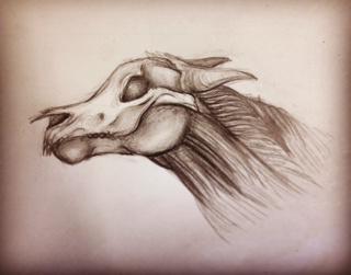 320x251 Demon Horse )