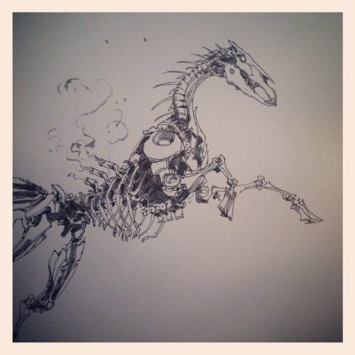 500x500 Horse Drawing Tumblr