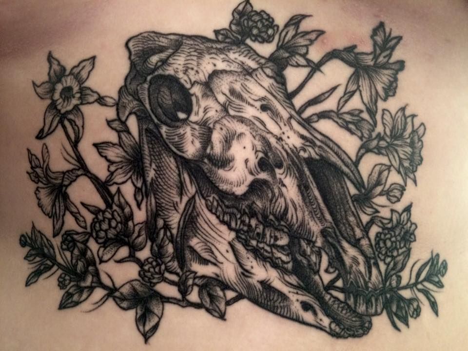 960x720 Horse Skull Tattoo