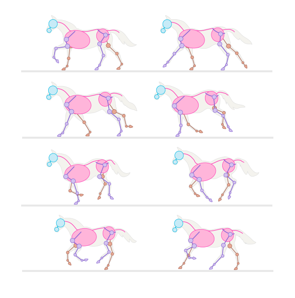 600x606 How To Draw Animals Horses, Their Anatomy And Poses
