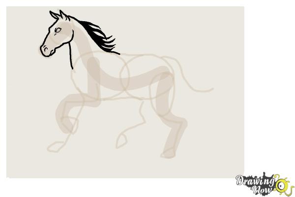 600x400 How To Draw A Horse Step By Step