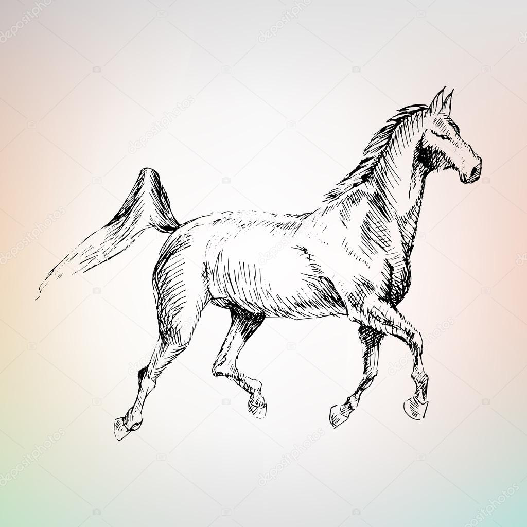 1024x1024 Arabian Horse Riding, Drawn Stock Vector Lemyppp