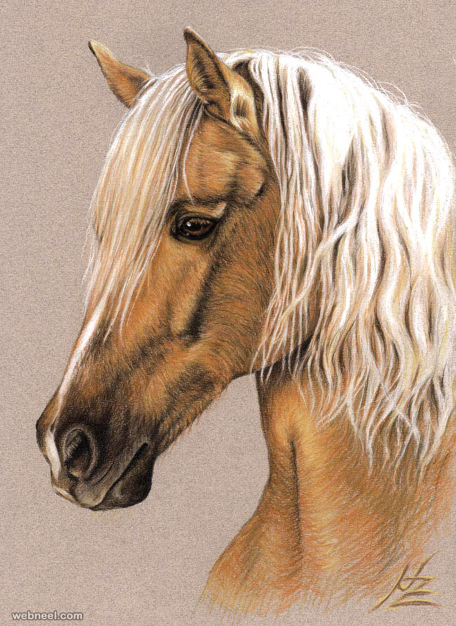 660x906 Horse Drawing Animal Nicolezeug 16