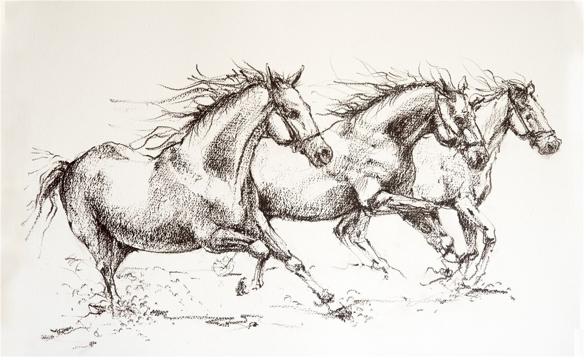 1200x733 Charcoal Running Horses Drawing Equine Art Horse