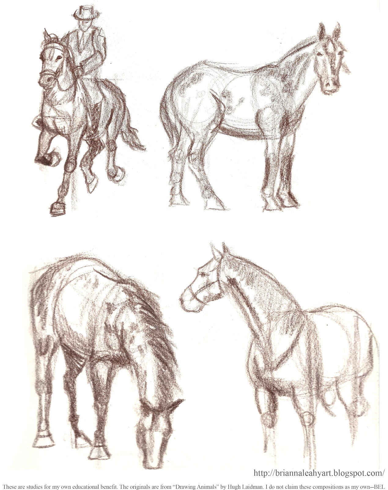 1269x1600 Horse Drawings In My Animal And Wildlife Drawing Class All