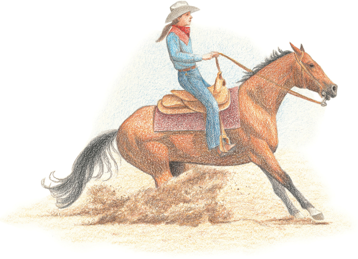 725x525 Horses In Action