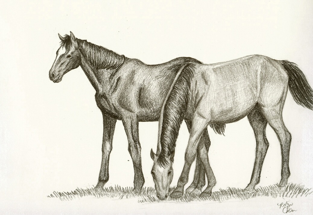 1037x714 Two Horses By Meihua