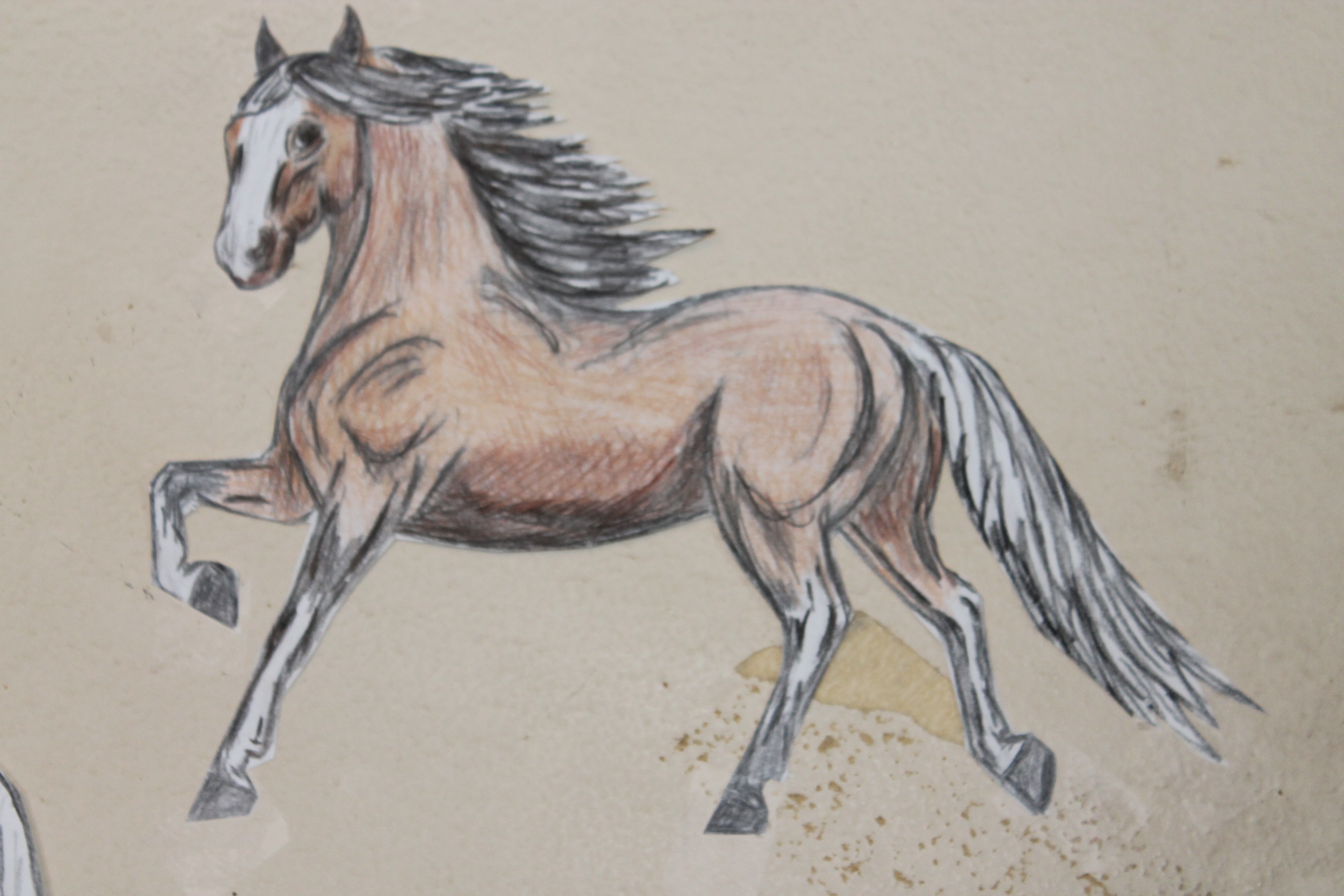 Horses Easy Drawing at GetDrawings Free download