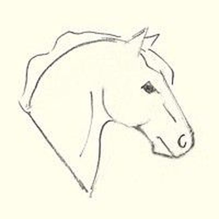 735x735 Learn How To Draw A Horse's Head Horse Head, Horse Drawings And Draw