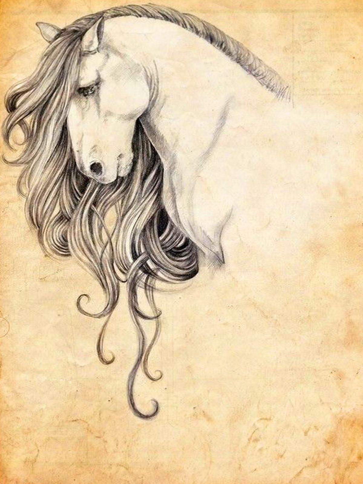 1200x1600 Pin By Khaled Alabbade