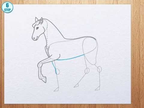 480x360 How To Draw A Horse