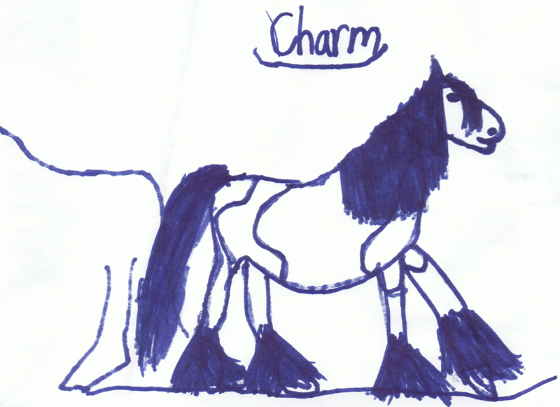 800x581 Gypsy Horse, Gypsy Vanner Horses, Irish Cobs, Now Available