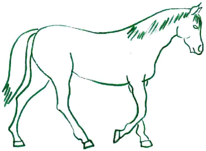 842x615 Horse Drawing For Kids Gypsy Horse Kids Drawings Coloring Pages