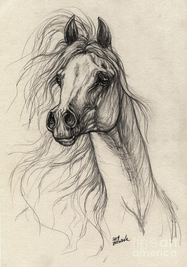 632x900 Arabian Horse Drawing 37 Drawing By Angel Ciesniarska