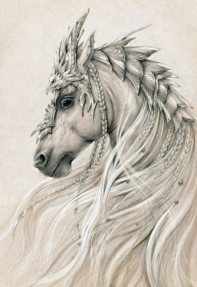 640x929 97 Best Horses Images On Horse Drawings, Horses
