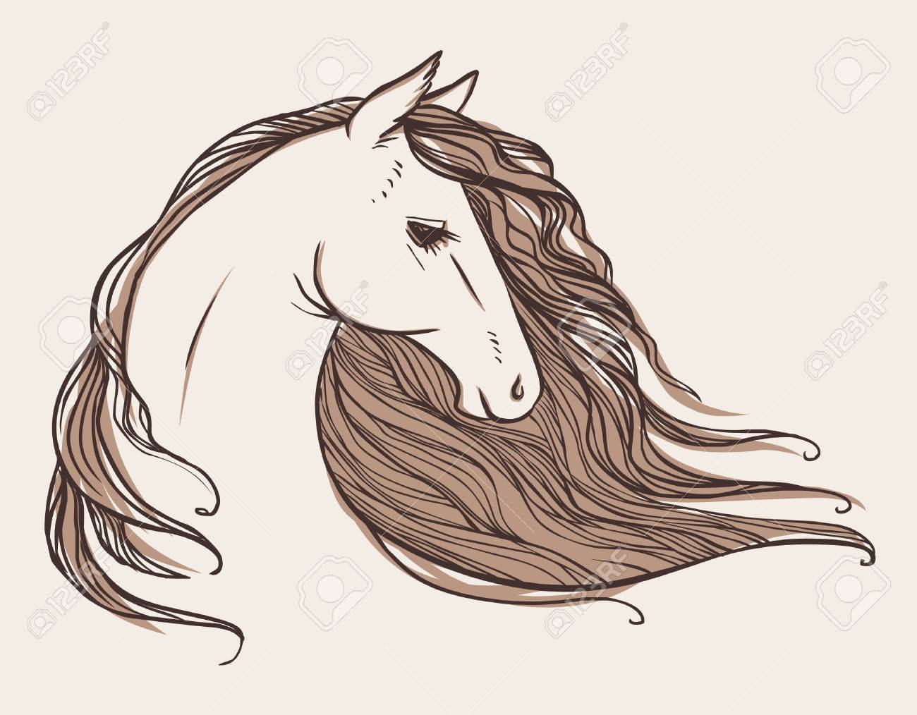 1300x1014 Horse's Head. Tattoo Sketch. Vector Hand Drawn Illustration