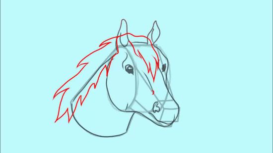 550x309 How To Draw A Horse Head 15 Steps (With Pictures)
