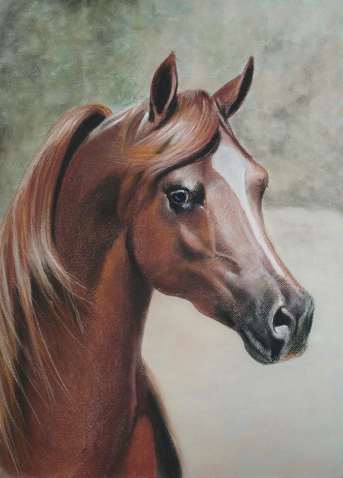 675x940 Pin By Ilaria Dotti On Horses In Art Without Riding Tack (Partial