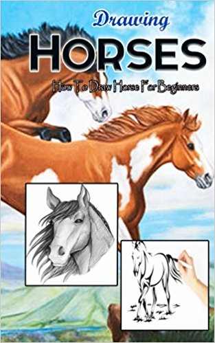 313x499 Drawing Horses How To Draw Horse For Beginners Drawing Horses