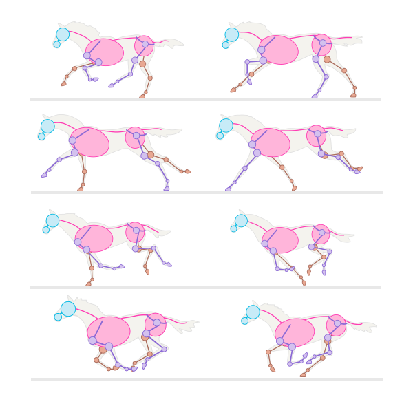 600x606 How To Draw Animals Horses, Their Anatomy And Poses