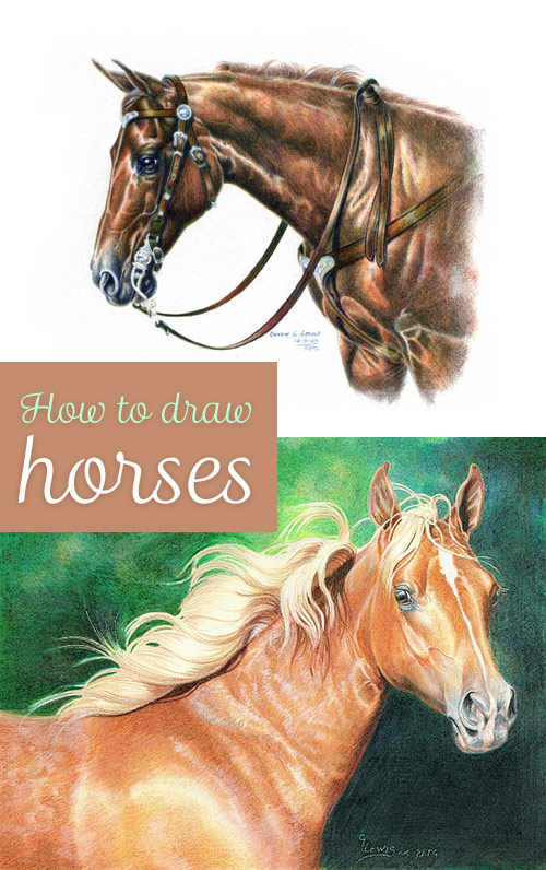 500x796 How To Draw Horses 11 Step By Step Videos Amp Tutorials