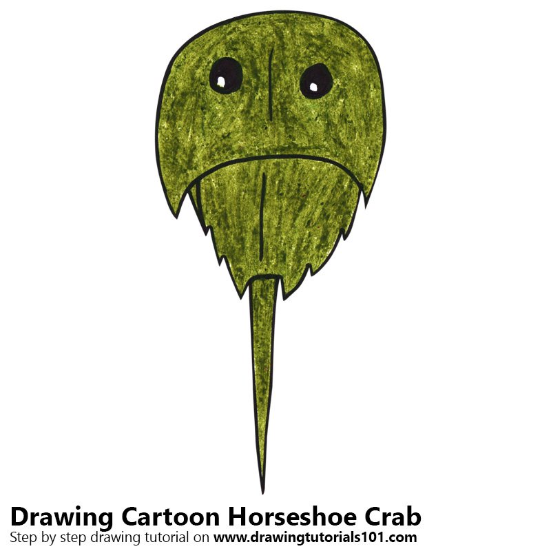 800x800 Learn How To Draw A Cartoon Horseshoe Crab (Cartoon Animals) Step