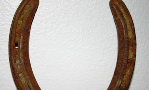 295x180 The Custom Of Horseshoes And Vardos