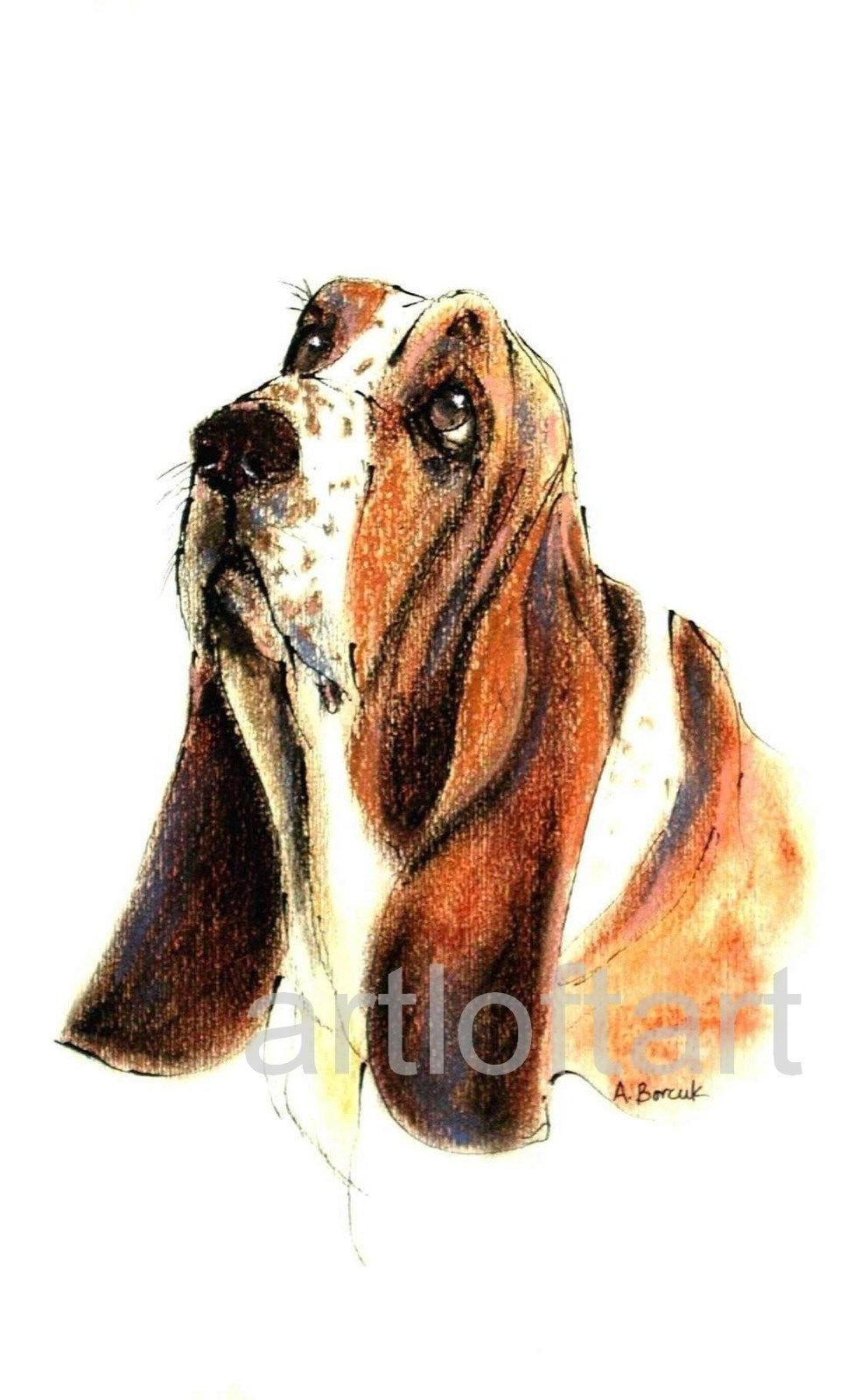 992x1600 Basset Hound 1 Dog Art Print Signed A Borcuk Painting Painting