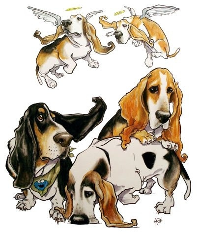 405x477 John Lafee Art From Uk Basset Stuff Basset Hound
