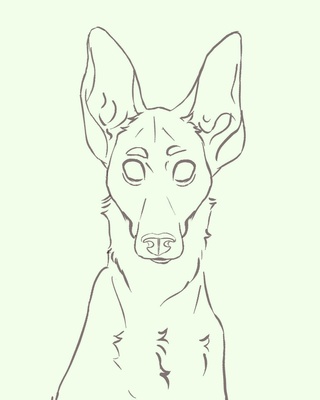 320x400 Hound Drawings On Paigeeworld. Pictures Of Hound