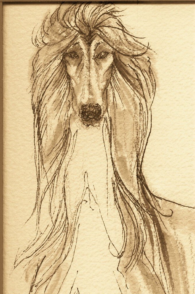 679x1024 Pin By Perse On Tazi