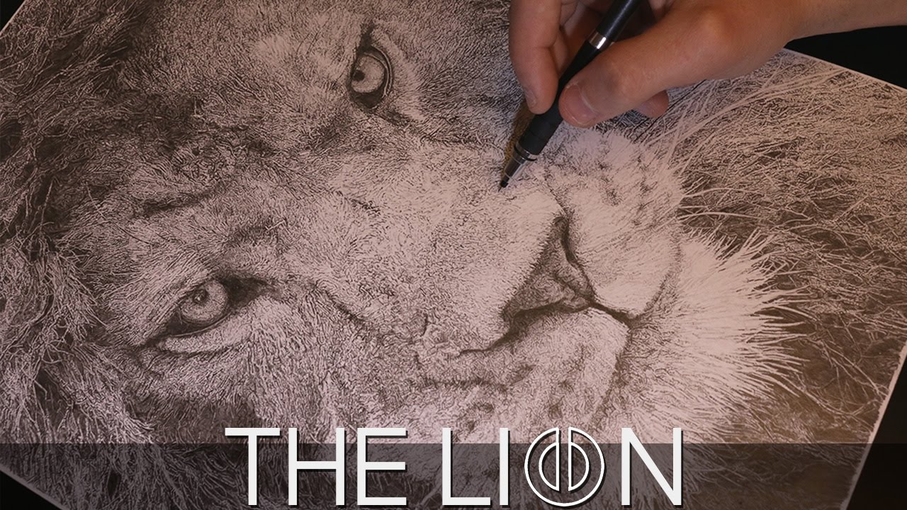 1280x720 Lion Drawing Time Lapse