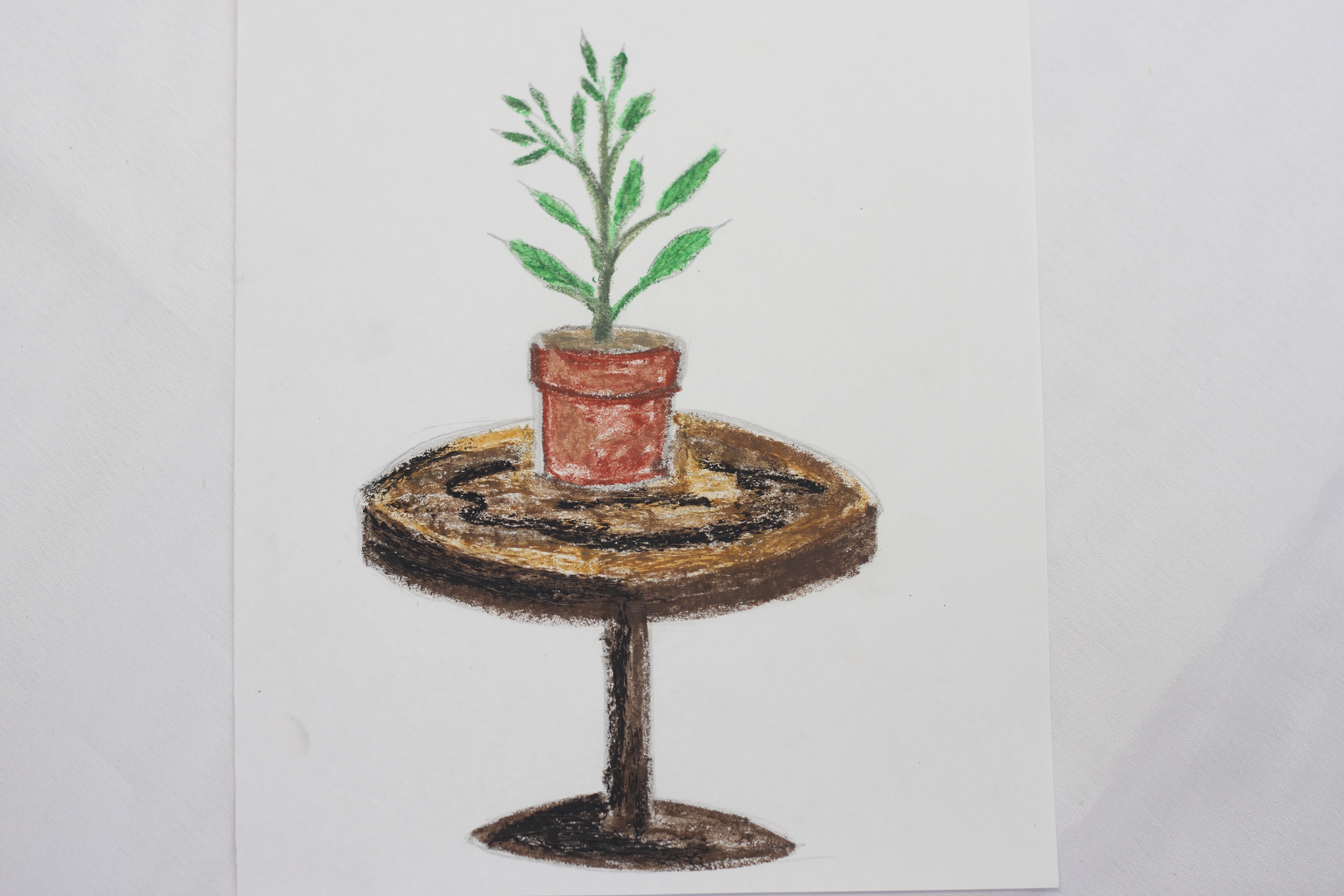 3888x2592 How To Draw A Potted Plant 8 Steps (With Pictures)