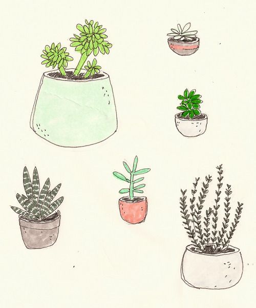 500x601 Plants Drawing Tumblr