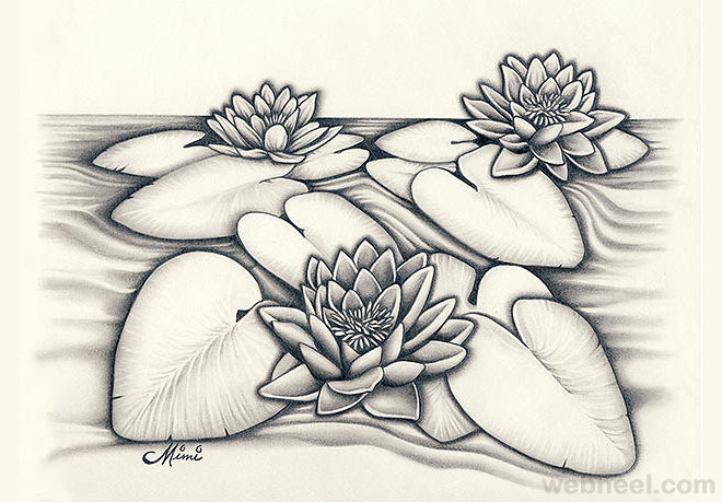 660x459 Pencil Drawings Of Flowers 8