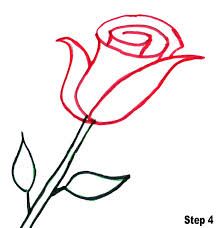 221x228 How To Draw A Rose Step By Step Easy