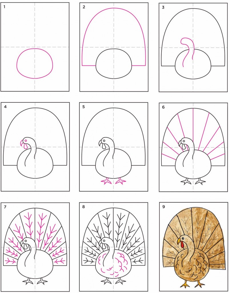 805x1024 How To Draw A Thanksgiving Turkey For Kids Step 4. Pin Drawn
