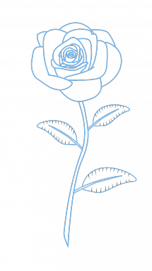 215x382 How To Draw Red Rose, Flowers, Plants, Easy Step By Step Drawing