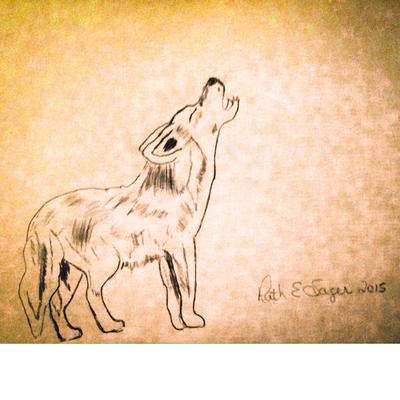 400x400 Coyote