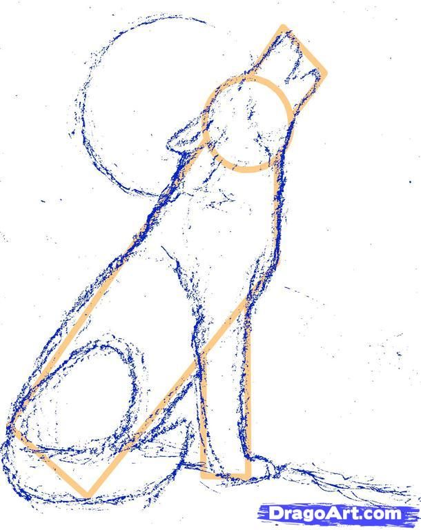 610x768 Step 7. How To Draw A Howling Wolf