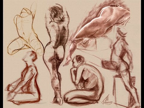 480x360 How To Draw Human Anatomy