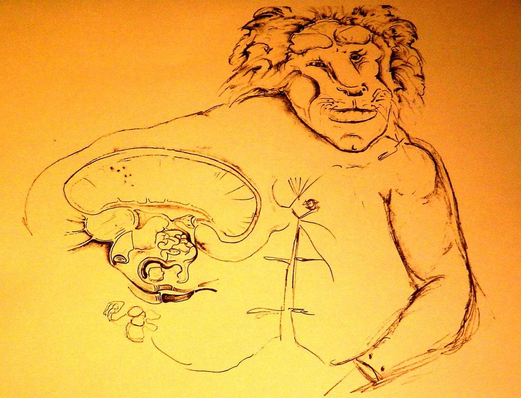 1022x781 Animal Human Hybrid Drawing By Littlebuddhabc