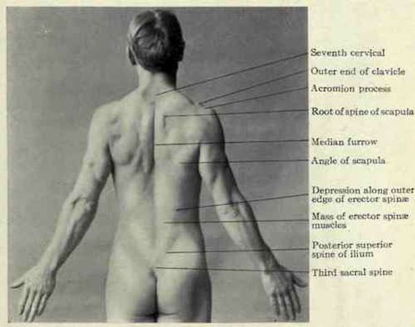 600x473 Exercising Perception