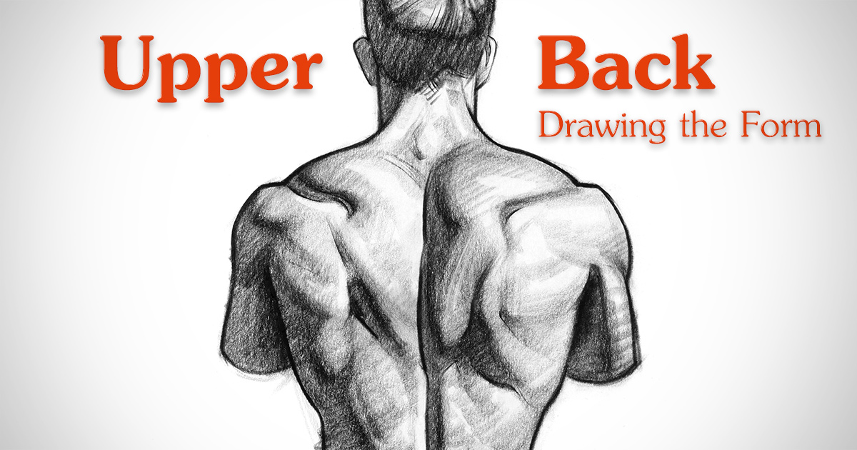 1200x630 How To Draw Upper Back Muscles