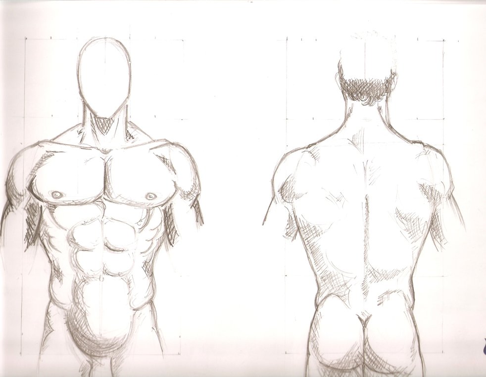 982x763 Human Body 1 By Alerufett