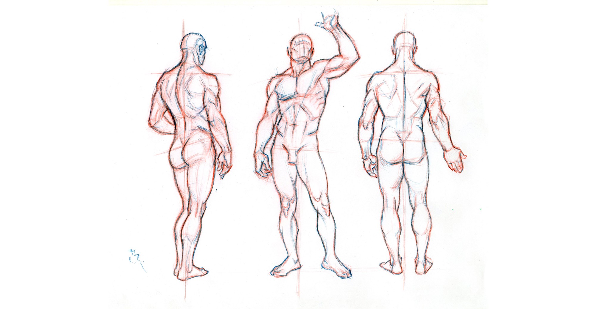 2000x1040 Guide Importance Of Proper Body Proportions And How