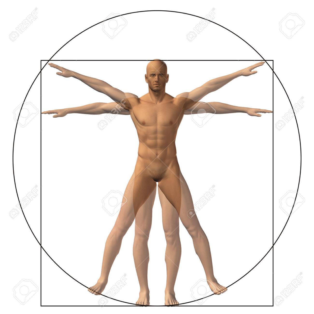 1300x1300 Concept Or Conceptual Vitruvian Human Body Drawing On Old Paper