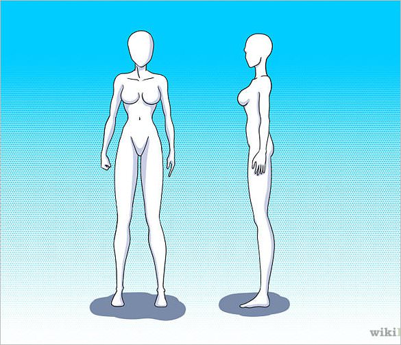 585x503 Body Outline Template Free Sample, Example, Format Download