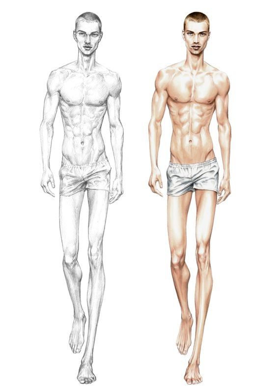 564x797 Wgsn Fashion Illustrations